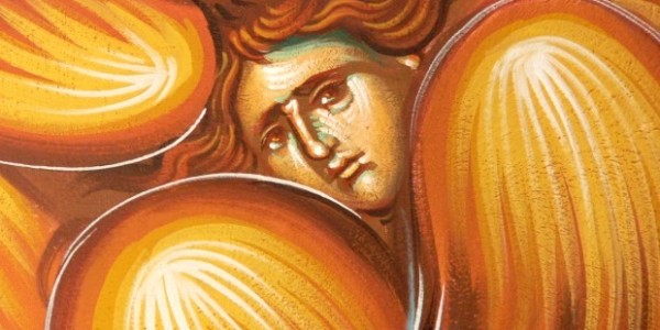 angel (2)